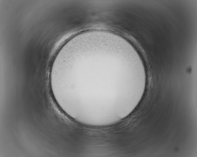 X0000115081416200912081201