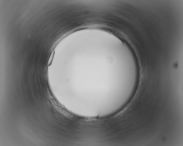 X0000115081417200912081201