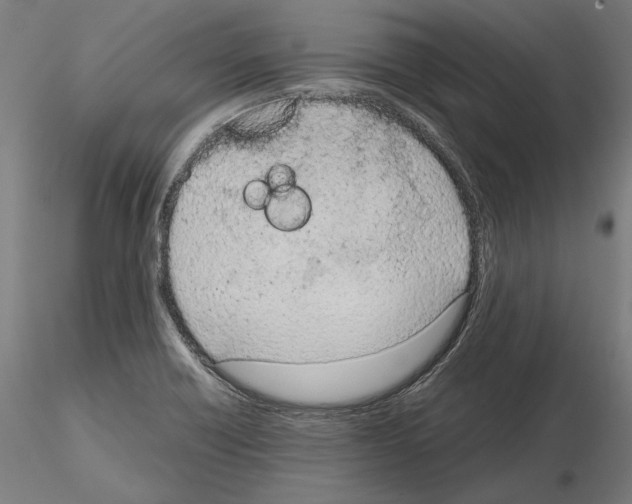 X0000115081418200912081201