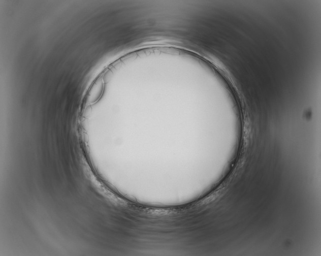 X0000115081421200912081201