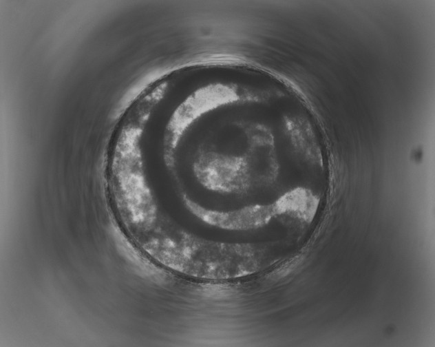 X0000115081422200912081201