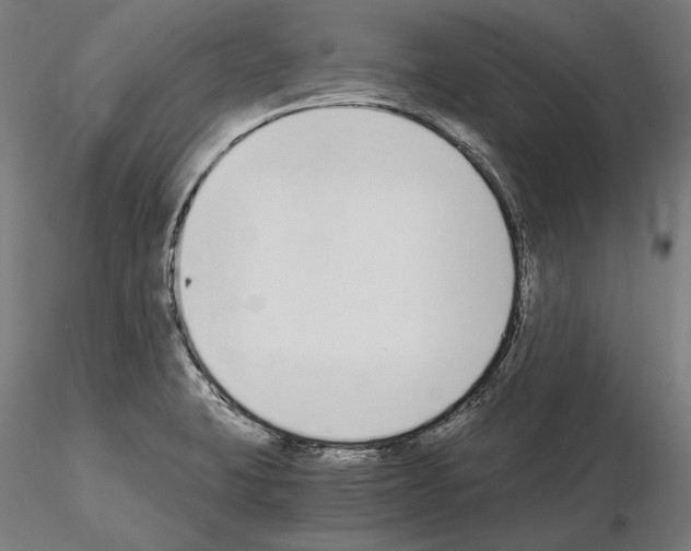 X0000115081423200912081201