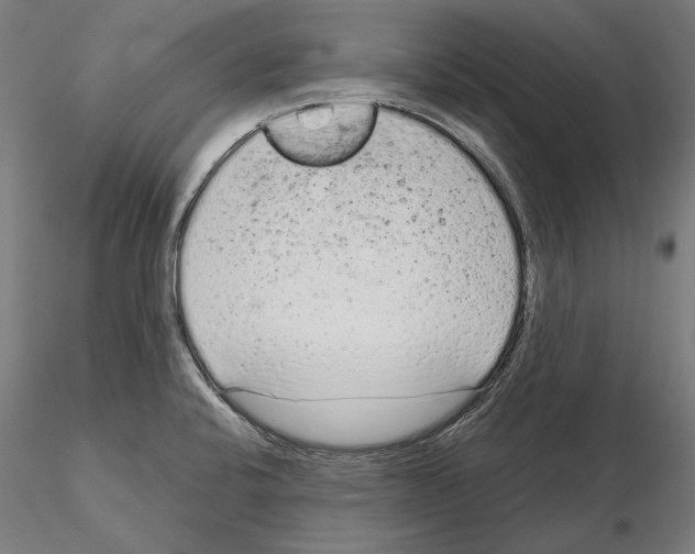 X0000115081424200912081201