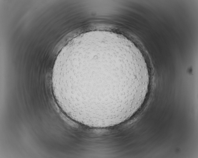 X0000115081425200912081201