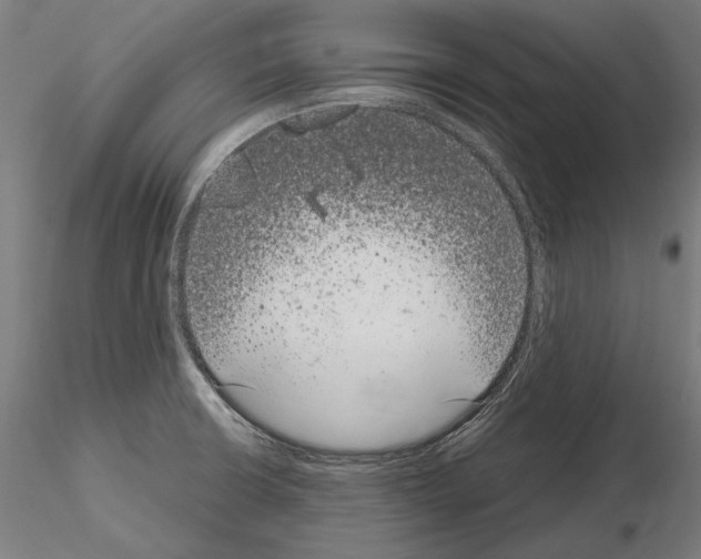 X0000115081426200912081201