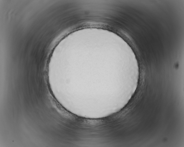 X0000115081427200912081201