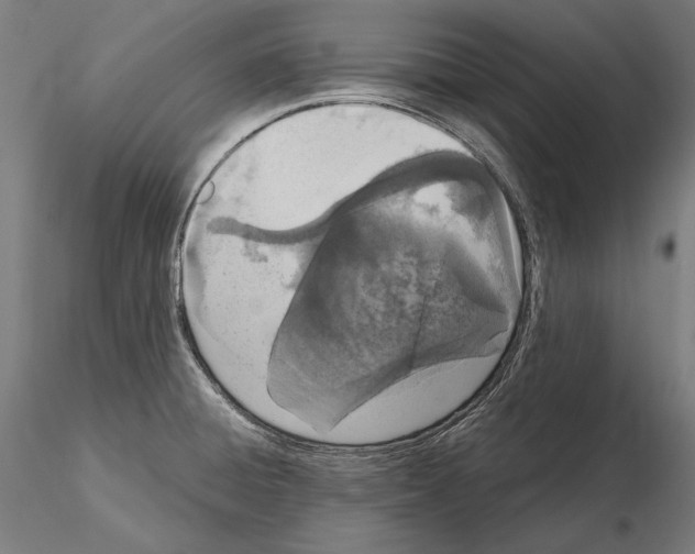 X0000115081428200912081201