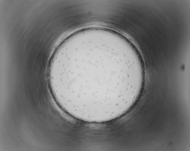 X0000115081429200912081201