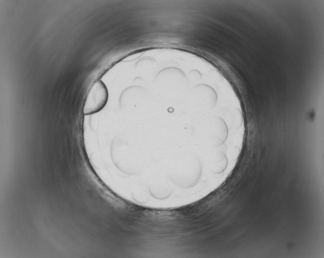 X0000115081432200912081201