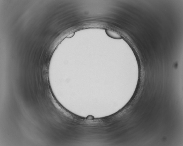 X0000115081433200912081201