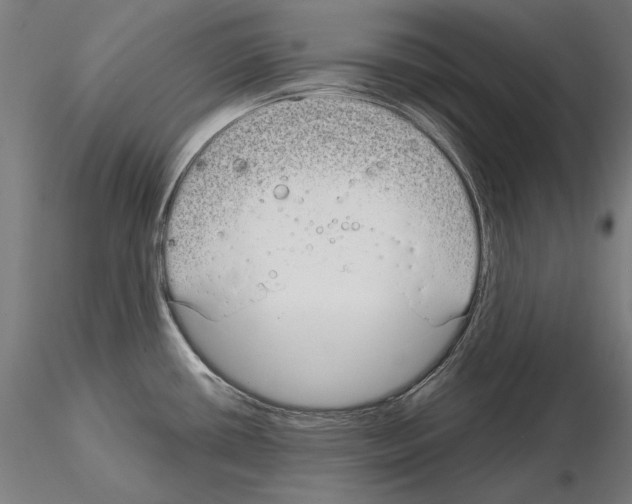 X0000115081434200912081201