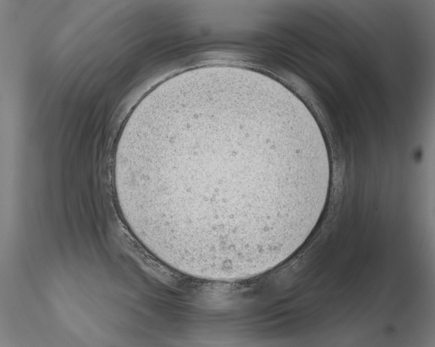 X0000115081435200912081201