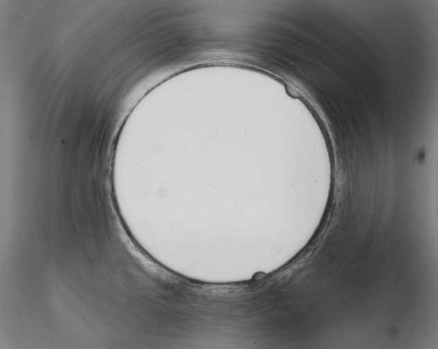 X0000115081437200912081201