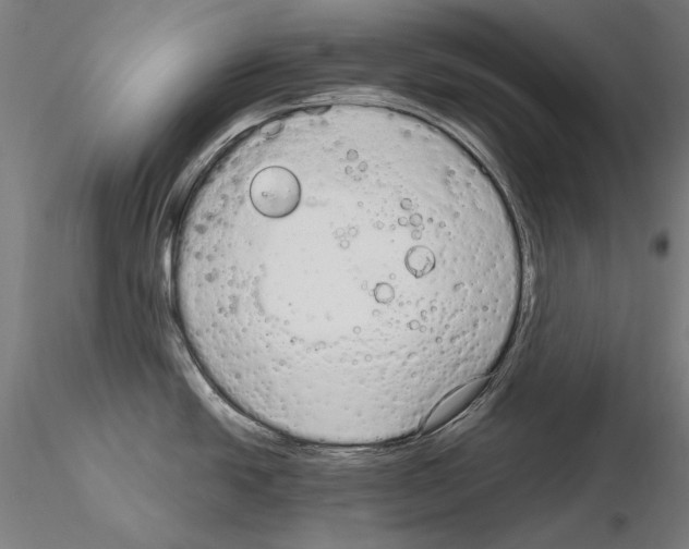 X0000115081438200912081201