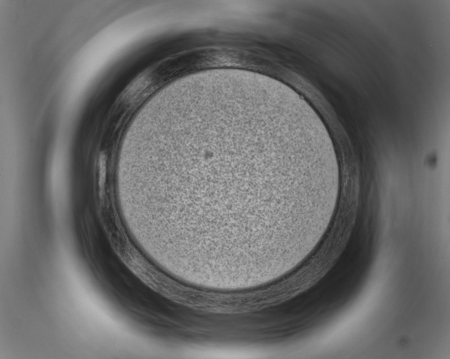 X0000115081439200912081201