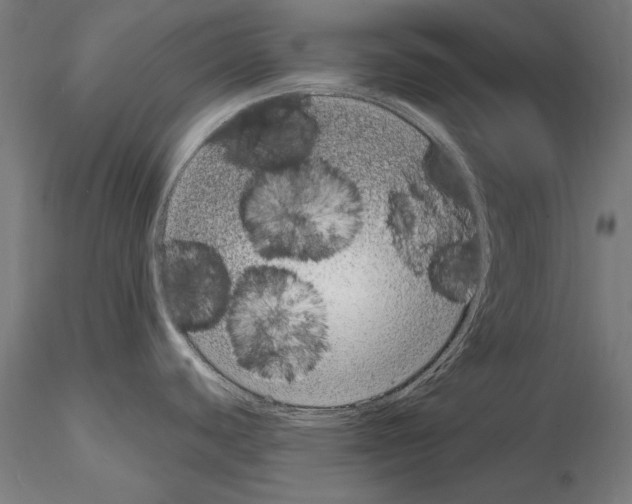 X0000115081440200912081201