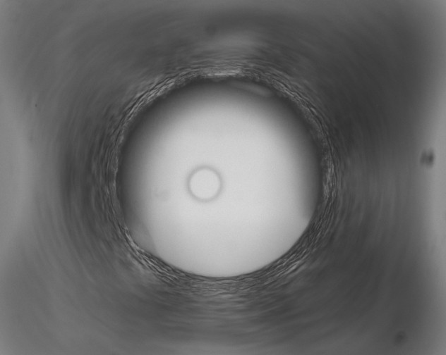 X0000115081441200912081200