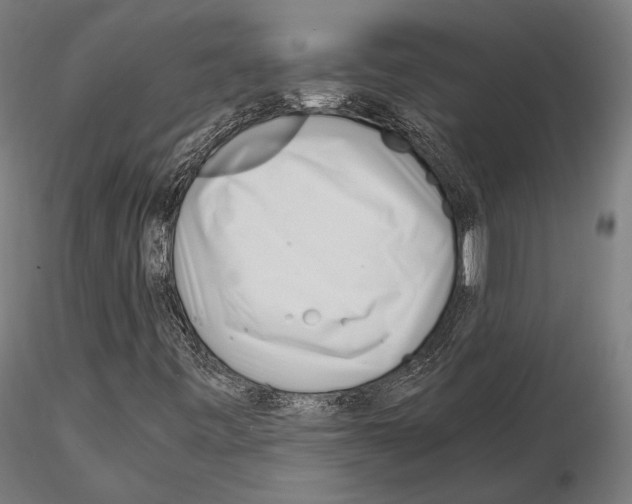 X0000115081443200912081200