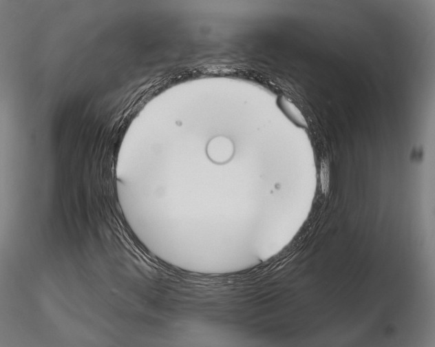 X0000115081444200912081200