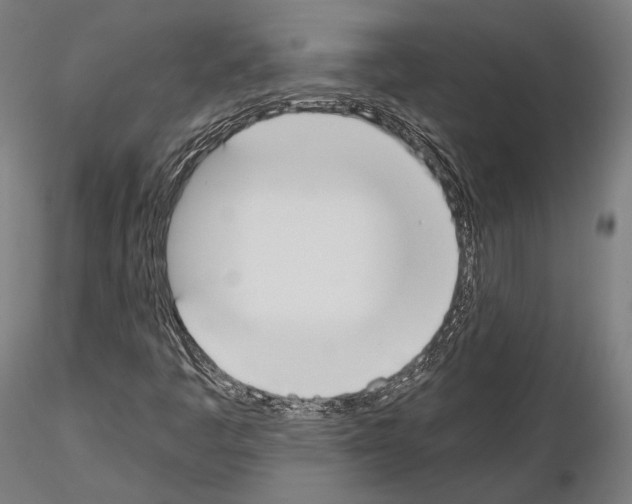 X0000115081445200912081200