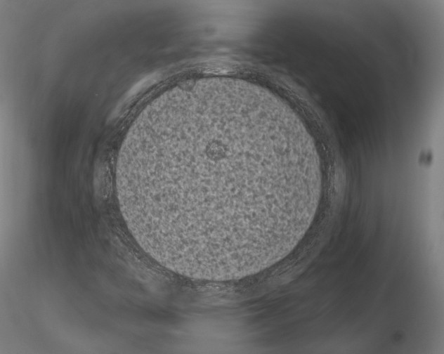 X0000115081446200912081200