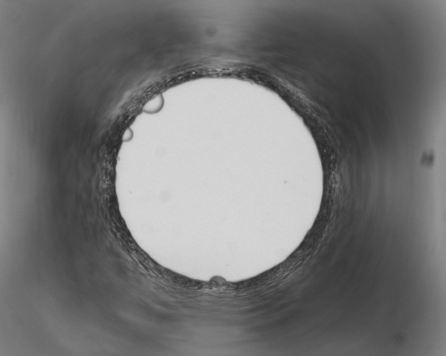 X0000115081447200912081200