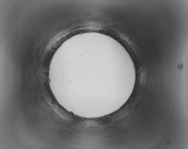 X0000115081448200912081200