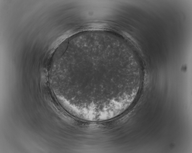 X0000115081449200912081200