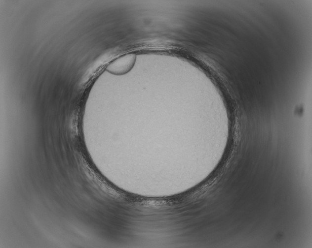 X0000115081451200912081200