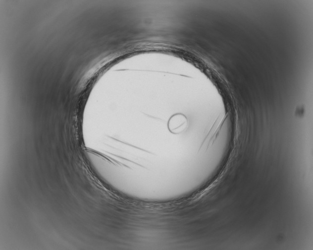 X0000115081453200912081200