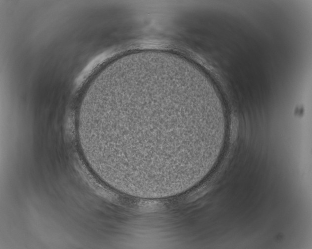 X0000115081454200912081200