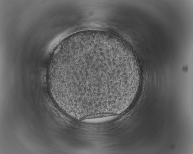 X0000115081455200912081200