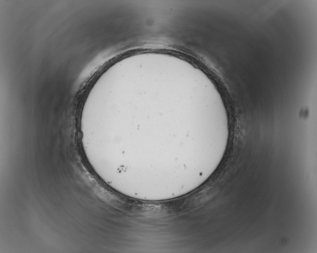 X0000115081456200912081200