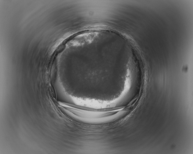 X0000115081457200912081200