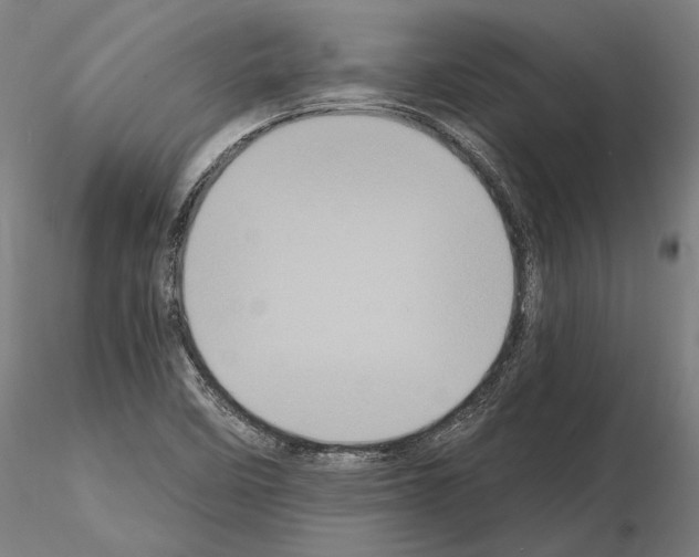 X0000115081458200912081200