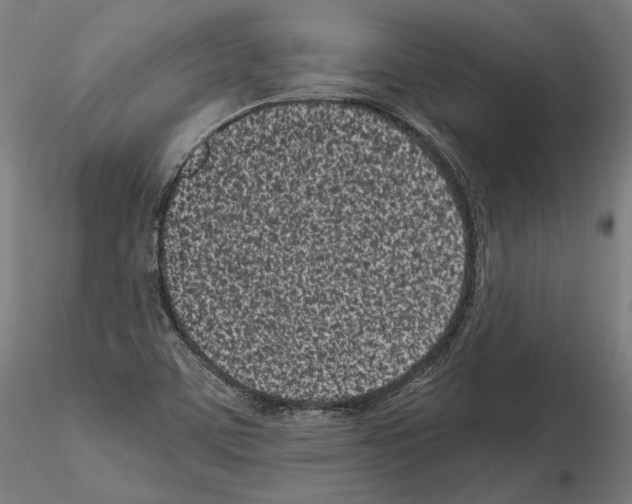 X0000115081459200912081200