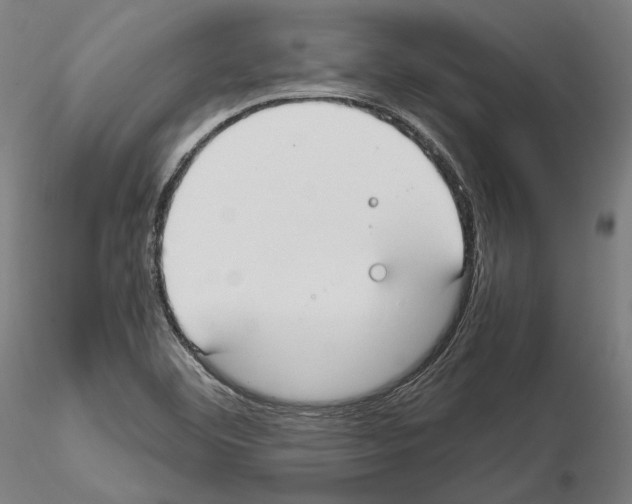 X0000115081460200912081200