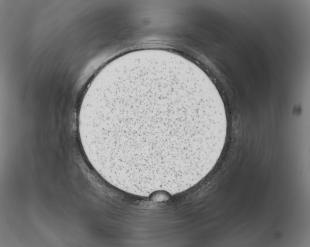 X0000115081461200912081200