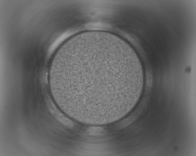 X0000115081462200912081200