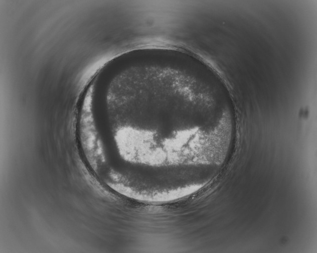 X0000115081463200912081200