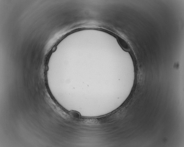 X0000115081464200912081200