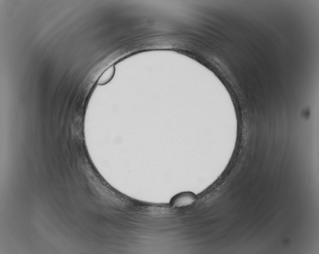 X0000115081465200912081200