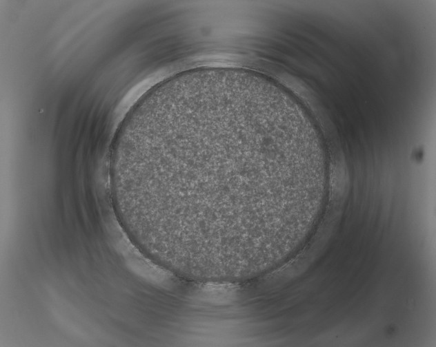 X0000115081466200912081200