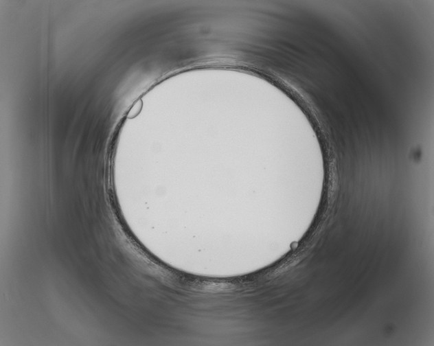 X0000115081467200912081200