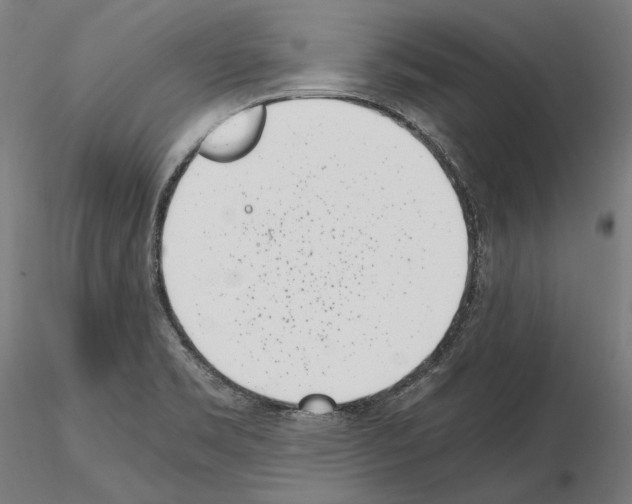 X0000115081469200912081200