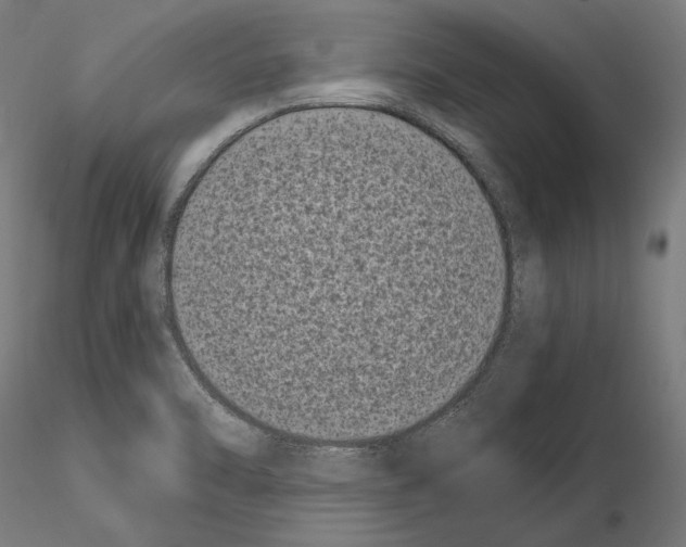 X0000115081470200912081200