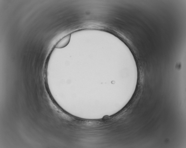 X0000115081471200912081200