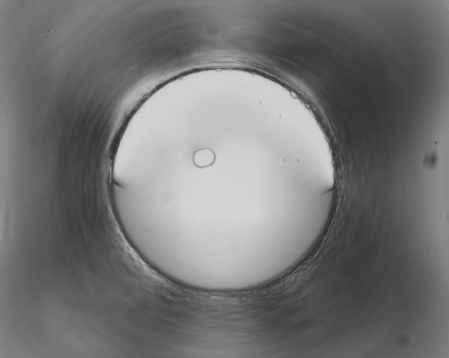 X0000115081472200912081200