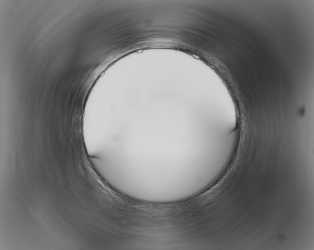 X0000115081473200912081200