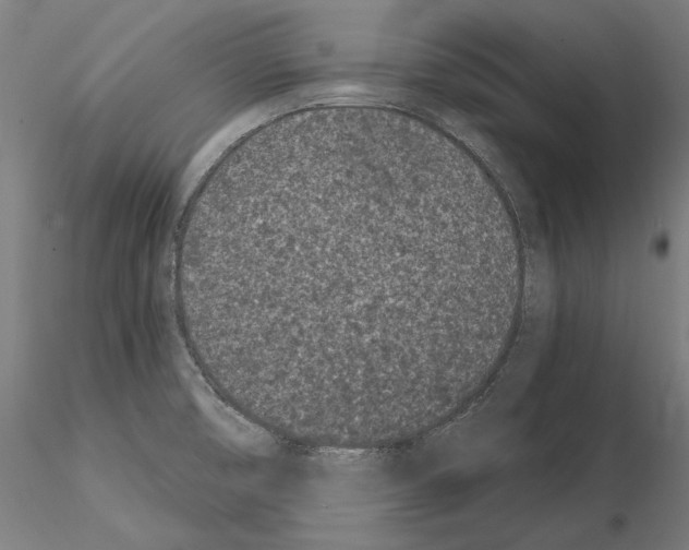 X0000115081474200912081200